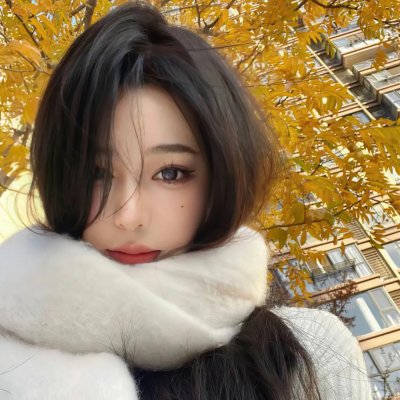 不死鸟之恋